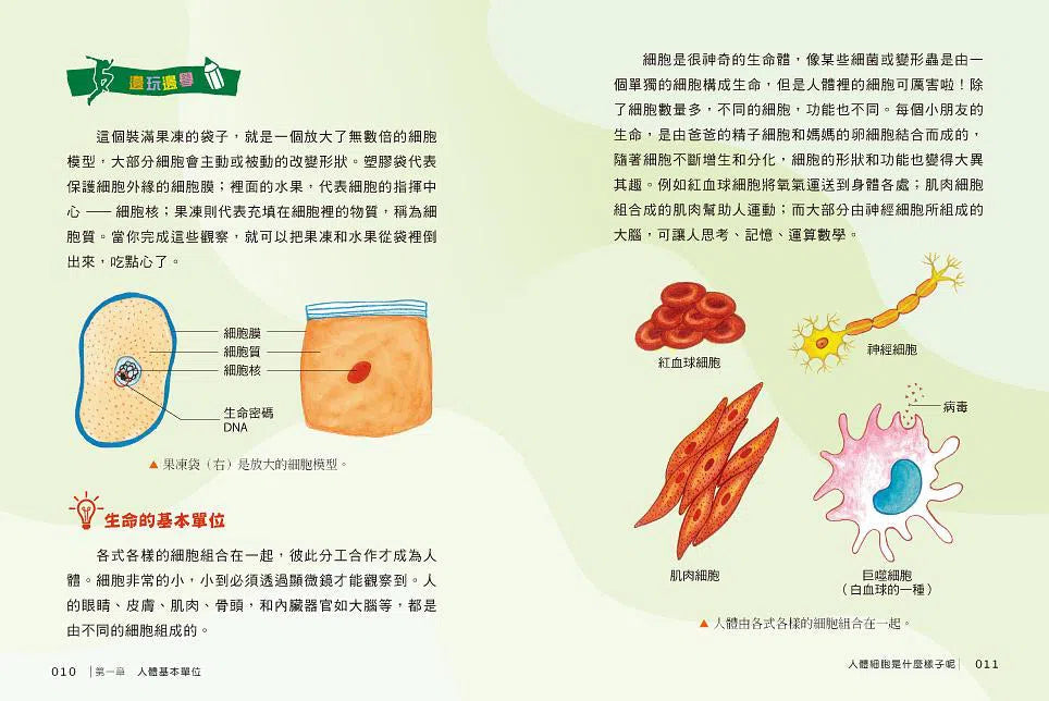 人體健康遊樂園:邊玩邊學,從小培養健康力-非故事: 參考百科 Reference & Encyclopedia-買書書 BuyBookBook