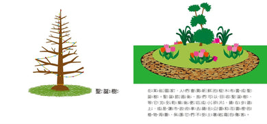 蛋殼蛋殼去哪裡?-故事: 兒童繪本 Picture Books-買書書 BuyBookBook