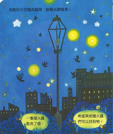 偷偷看一下:有趣的夜晚 (翻翻書)-非故事: 常識通識 General Knowledge-買書書 BuyBookBook