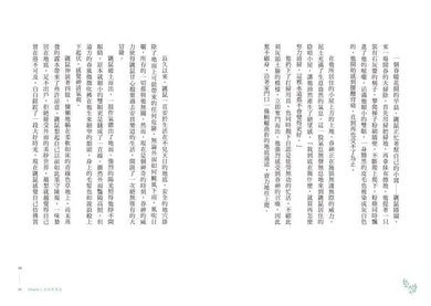 柳林風聲:年度暢銷書《蛤蟆先生去看心理師》故事原型,英國百年經典文學之作-故事: 經典傳統 Classic & Traditional-買書書 BuyBookBook