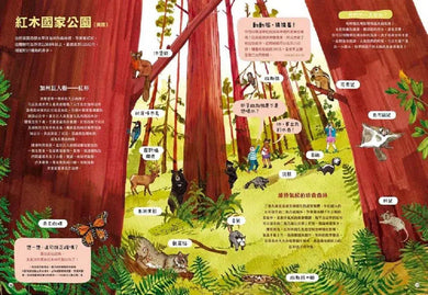 最美的森林 需要我們一起來保護(愛曼汀‧湯瑪士(Amandine Thomas))-非故事: 動物植物 Animal & Plant-買書書 BuyBookBook