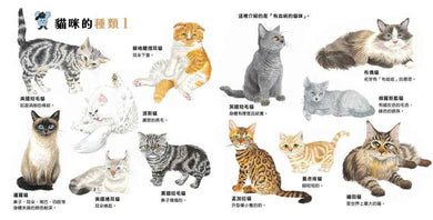 貓咪亮相了!-非故事: 動物植物 Animal & Plant-買書書 BuyBookBook