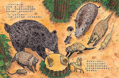蟲蟲週刊特別報導 蝸牛哪裡去了?-非故事: 動物植物 Animal & Plant-買書書 BuyBookBook