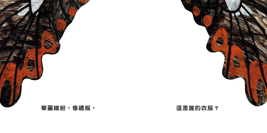 這是誰的衣服?-非故事: 學前基礎 Preschool Basics-買書書 BuyBookBook