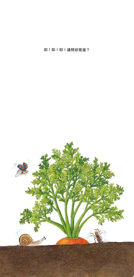 我的蔬菜寶寶(二版)-故事: 兒童繪本 Picture Books-買書書 BuyBookBook