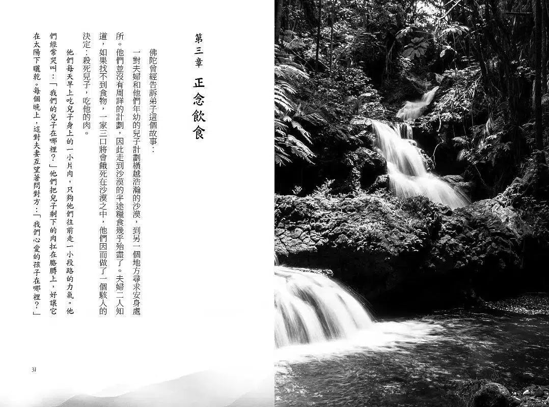 正念擁抱大地:當我們觀想自己為一棵樹…-非故事: 心理勵志 Self-help-買書書 BuyBookBook