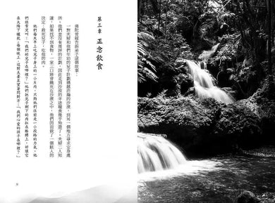 正念擁抱大地:當我們觀想自己為一棵樹…-非故事: 心理勵志 Self-help-買書書 BuyBookBook