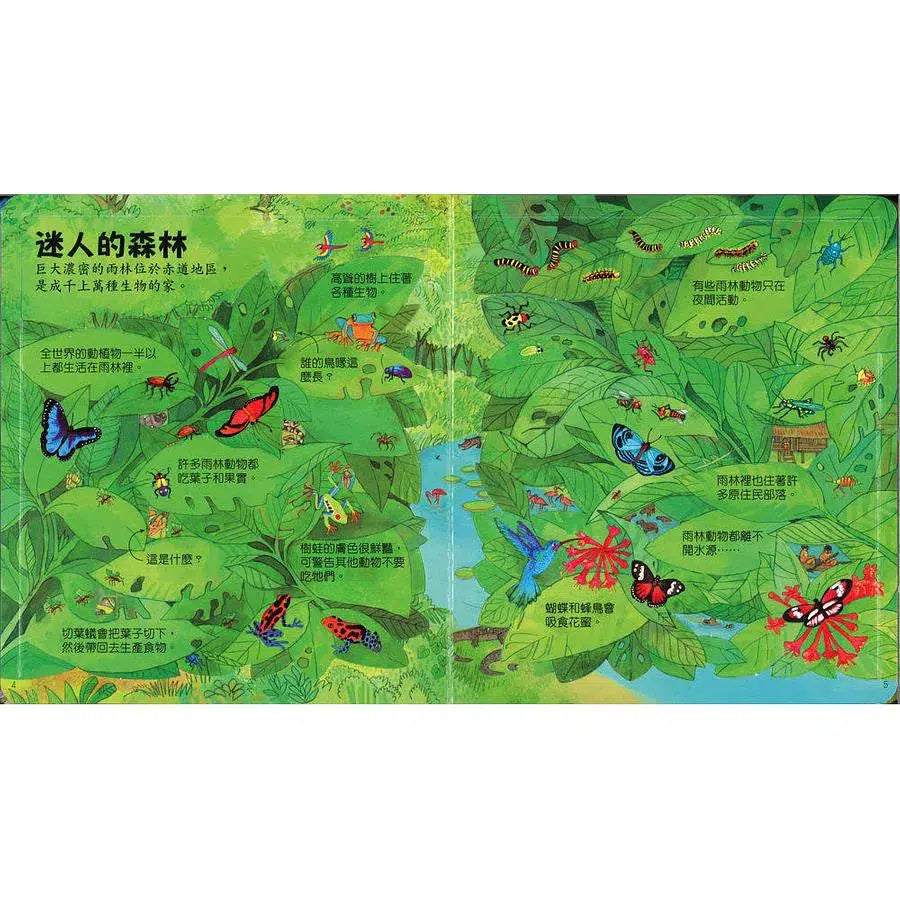 Look inside:認識我們的世界 (翻翻書)-非故事: 天文地理 Space & Geography-買書書 BuyBookBook