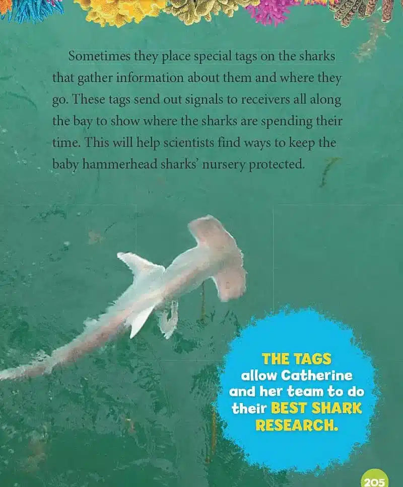 5-Minute Shark Stories (National Geographic Kids) (Alli Brydon)-Nonfiction: 動物植物 Animal & Plant-買書書 BuyBookBook