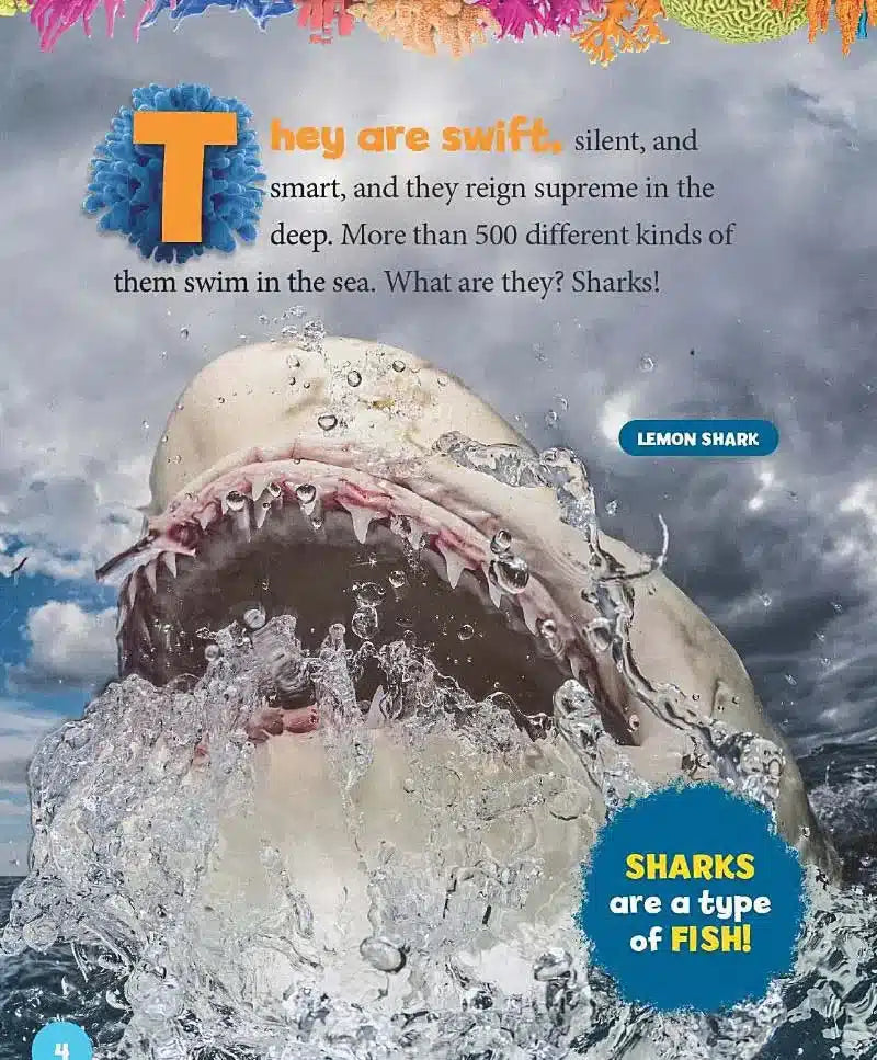 5-Minute Shark Stories (National Geographic Kids) (Alli Brydon)-Nonfiction: 動物植物 Animal & Plant-買書書 BuyBookBook