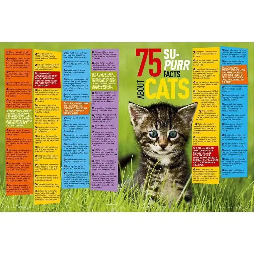 NGK Everything: 5,000 Awesome Facts 2 (Hardback) National Geographic