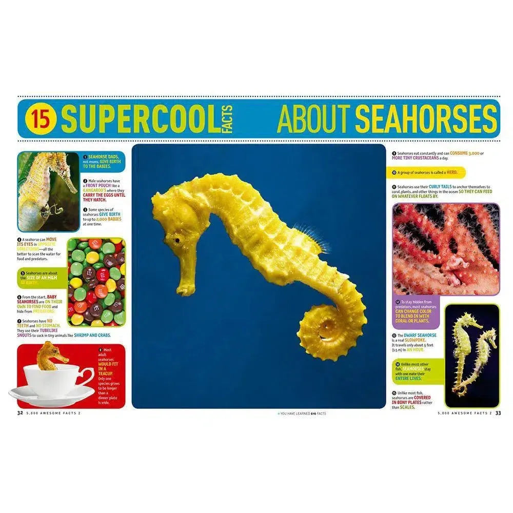 NGK Everything: 5,000 Awesome Facts 2 (Hardback) National Geographic