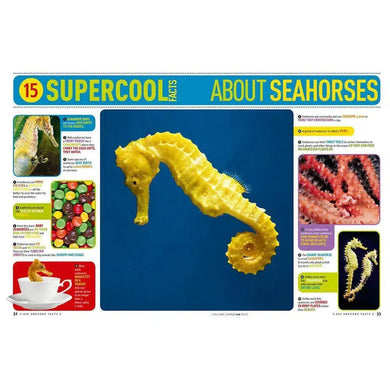 NGK Everything: 5,000 Awesome Facts 2 (Hardback) National Geographic