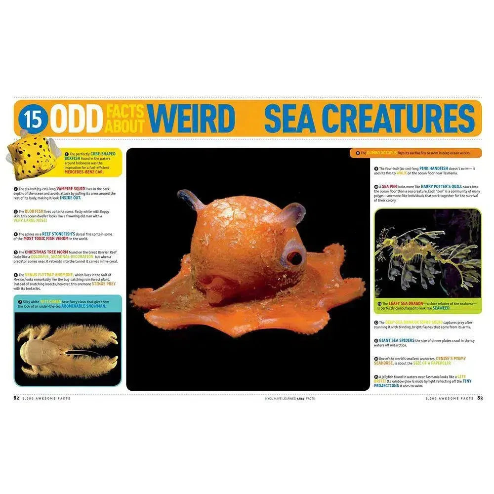 5,000 Awesome Facts (About Everything!): Updated and Expanded!