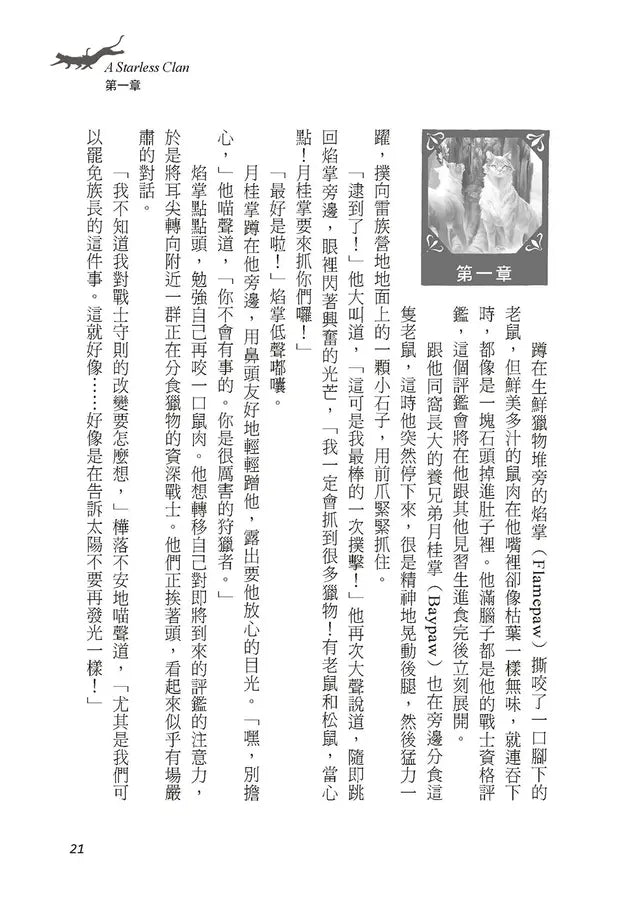 貓戰士八部曲無星氏族之一:群龍無首