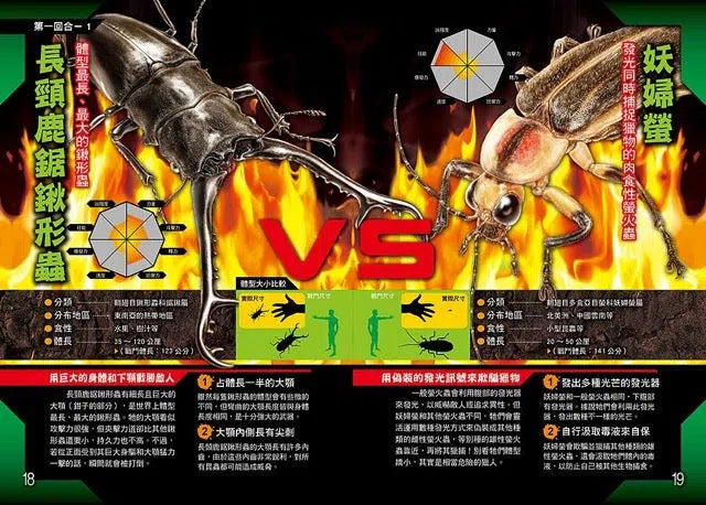 昆蟲最強王圖鑑:NO.1爭奪淘汰賽-故事: 奇幻魔法 Fantasy & Magical-買書書 BuyBookBook