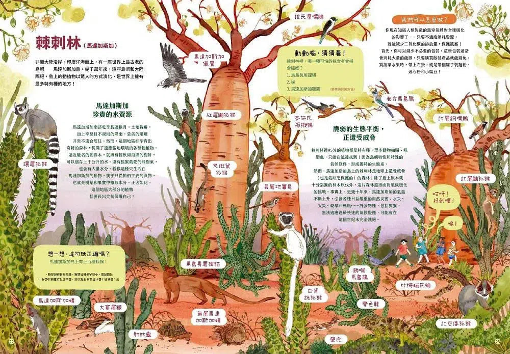 最美的森林 需要我們一起來保護(愛曼汀‧湯瑪士(Amandine Thomas))-非故事: 動物植物 Animal & Plant-買書書 BuyBookBook