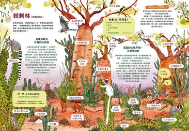 最美的森林 需要我們一起來保護(愛曼汀‧湯瑪士(Amandine Thomas))-非故事: 動物植物 Animal & Plant-買書書 BuyBookBook