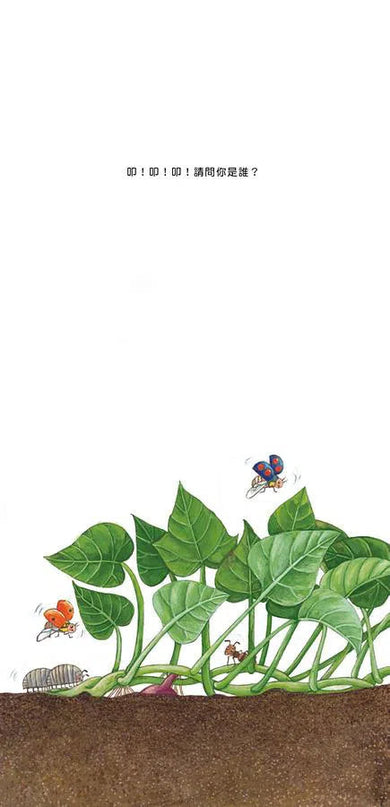 我的蔬菜寶寶(二版)-故事: 兒童繪本 Picture Books-買書書 BuyBookBook