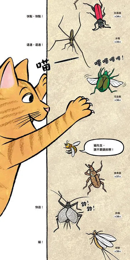昆蟲在排什麼呢?-非故事: 動物植物 Animal & Plant-買書書 BuyBookBook