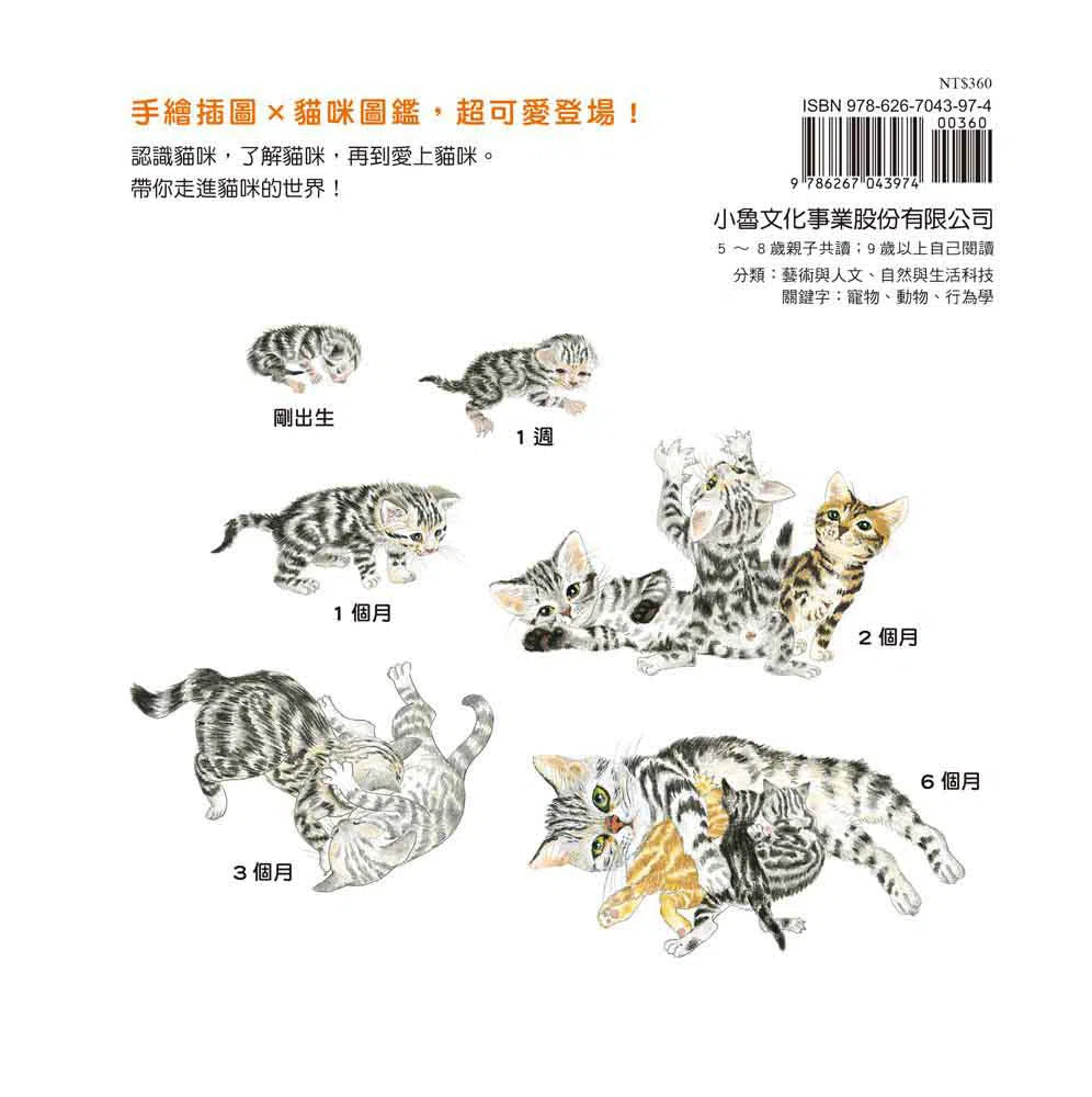 貓咪亮相了!-非故事: 動物植物 Animal & Plant-買書書 BuyBookBook