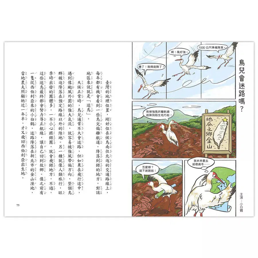 就愛鳥事一籮筐 (35題趣問妙答,愛上鳥事一籮筐)-非故事: 動物植物 Animal & Plant-買書書 BuyBookBook