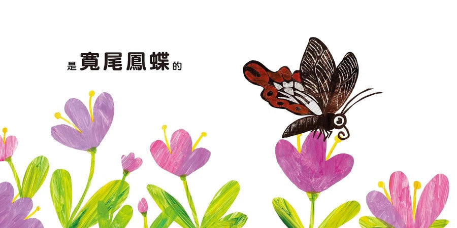 這是誰的衣服?-非故事: 學前基礎 Preschool Basics-買書書 BuyBookBook