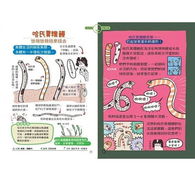 表裡不一的動物超棒的!圖鑑-非故事: 動物植物 Animal & Plant-買書書 BuyBookBook