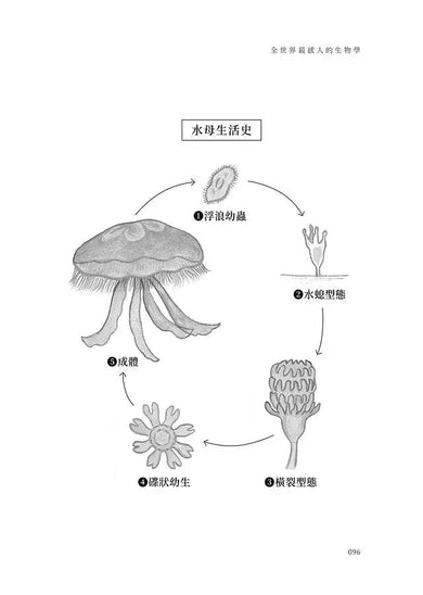 全世界最感人的生物學:用力的活,燦爛的死 (靜岡大學研究所農學研究科教授 - 稻垣榮洋)-文學: 散文 Prose-買書書 BuyBookBook