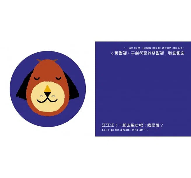 顛倒看世界 - 我是誰?(中英雙語對照)-非故事: 學前基礎 Preschool Basics-買書書 BuyBookBook