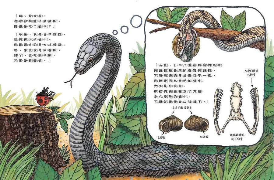 蟲蟲週刊特別報導 蝸牛哪裡去了?-非故事: 動物植物 Animal & Plant-買書書 BuyBookBook