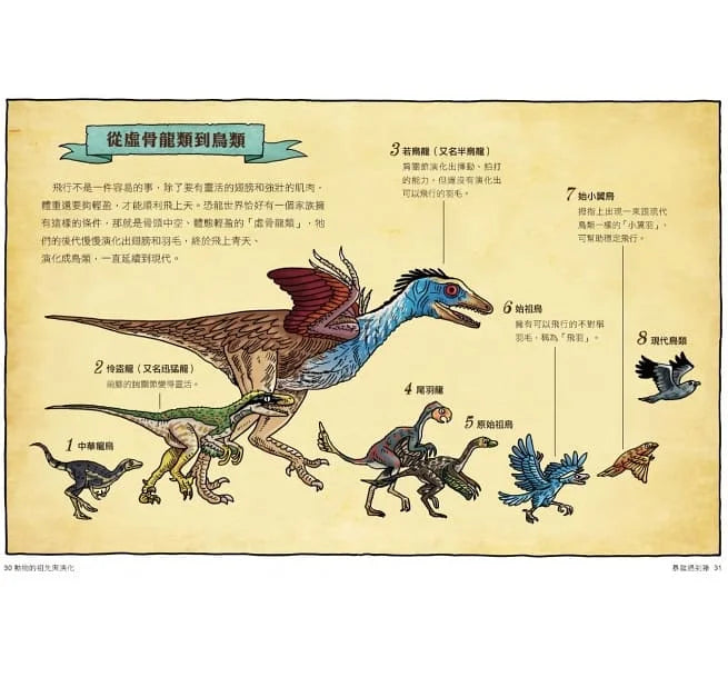 達克比辦案 #6-10集套書-非故事: 常識通識 General Knowledge-買書書 BuyBookBook