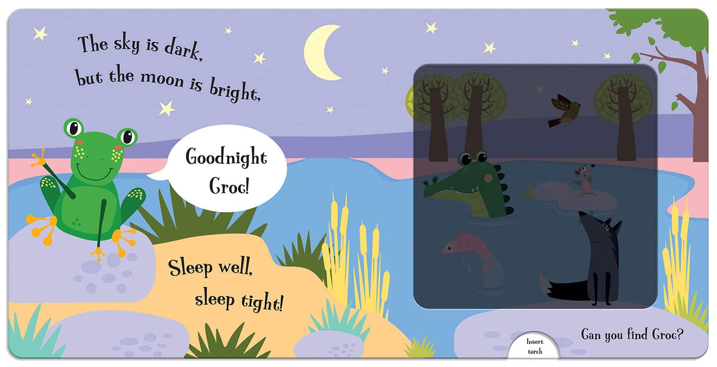 Magic Torch Books #06 Goodnight Frog (Amber Lily)