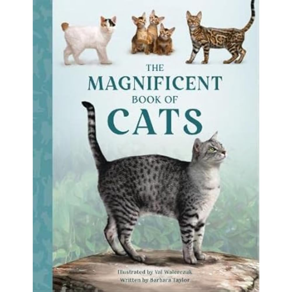 The Magnificent Book of Cats (Barbara Taylor)-Children’s / Teenage general interest: Nature and animals-買書書 BuyBookBook