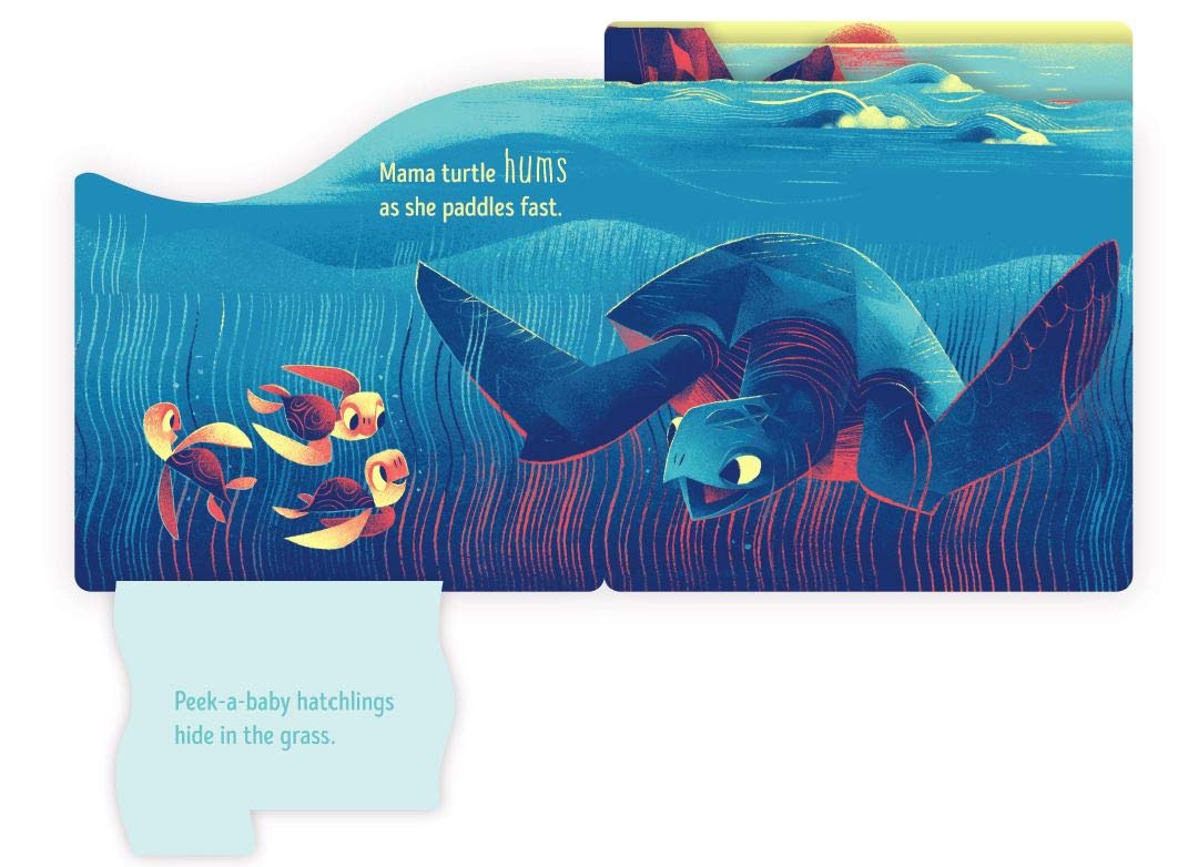 Peek-a-Baby: Ocean-Children’s / Teenage fiction: Nature and animal stories-買書書 BuyBookBook