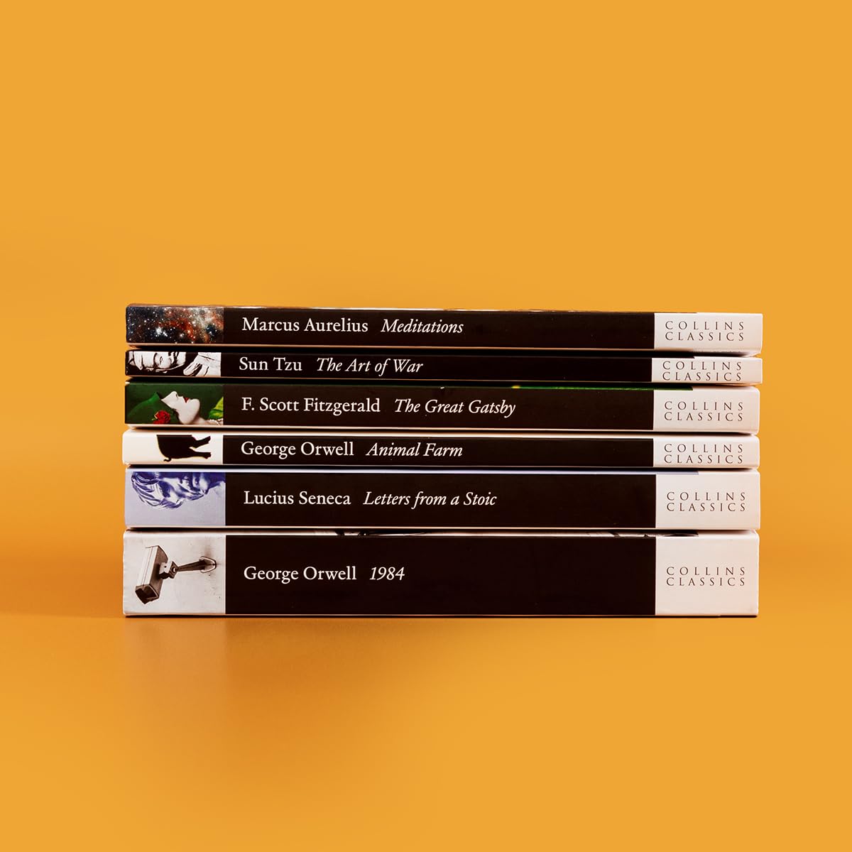 The Great Gatsby (Collins Classics)