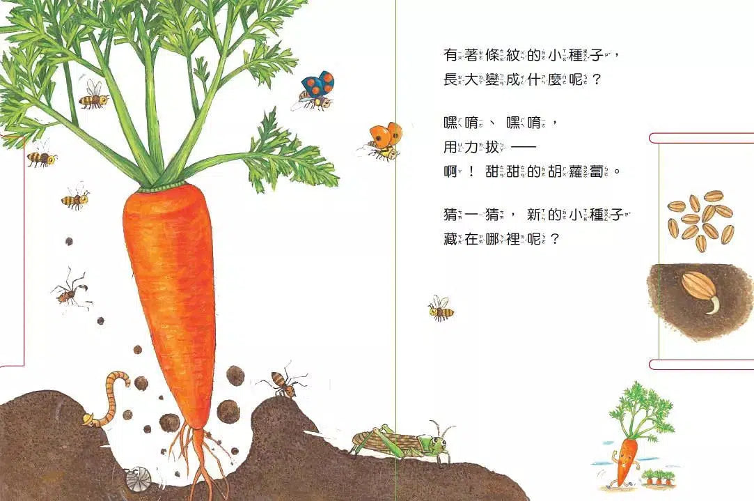 小種子,快長大(蔬菜篇)-買書書 BuyBookBook