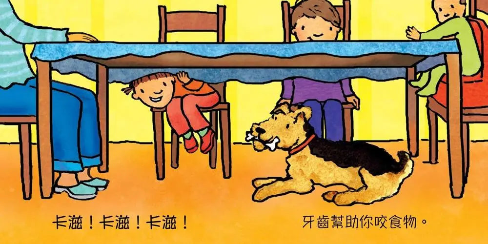 牙齒不是用來咬人的 (伊莉莎白‧凡迪克)-Children's picture books-買書書 BuyBookBook