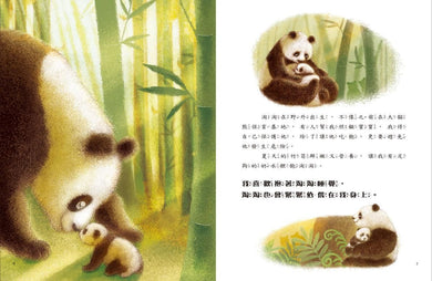 愛的故事‧知識繪本5:我的神祕保母