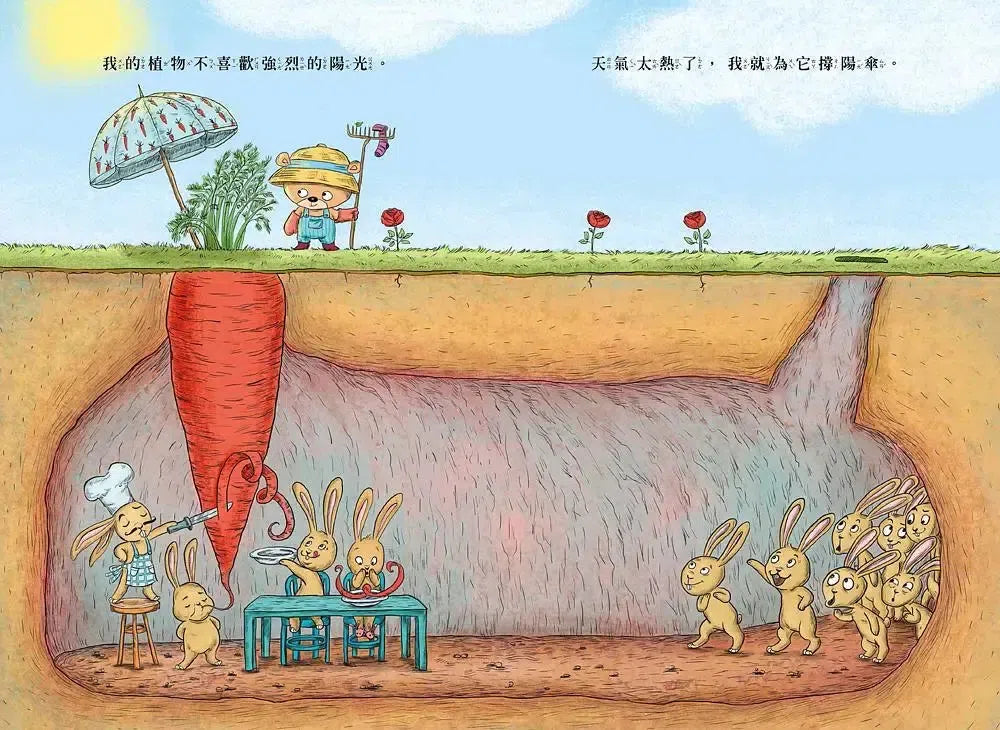 你為什麼不開花-Children’s picture books-買書書 BuyBookBook