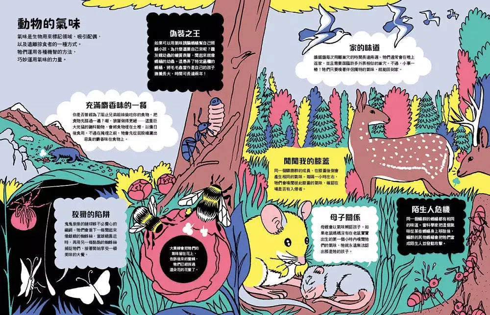 噁! 好臭! 臭味知識王-非故事: 科學科技 Science & Technology-買書書 BuyBookBook