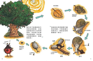 蟲蟲週刊特別報導 蝸牛哪裡去了?-非故事: 動物植物 Animal & Plant-買書書 BuyBookBook