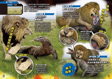 動物最強王圖鑑:NO.1爭奪淘汰賽 (實吉達郎)-故事: 奇幻魔法 Fantasy & Magical-買書書 BuyBookBook