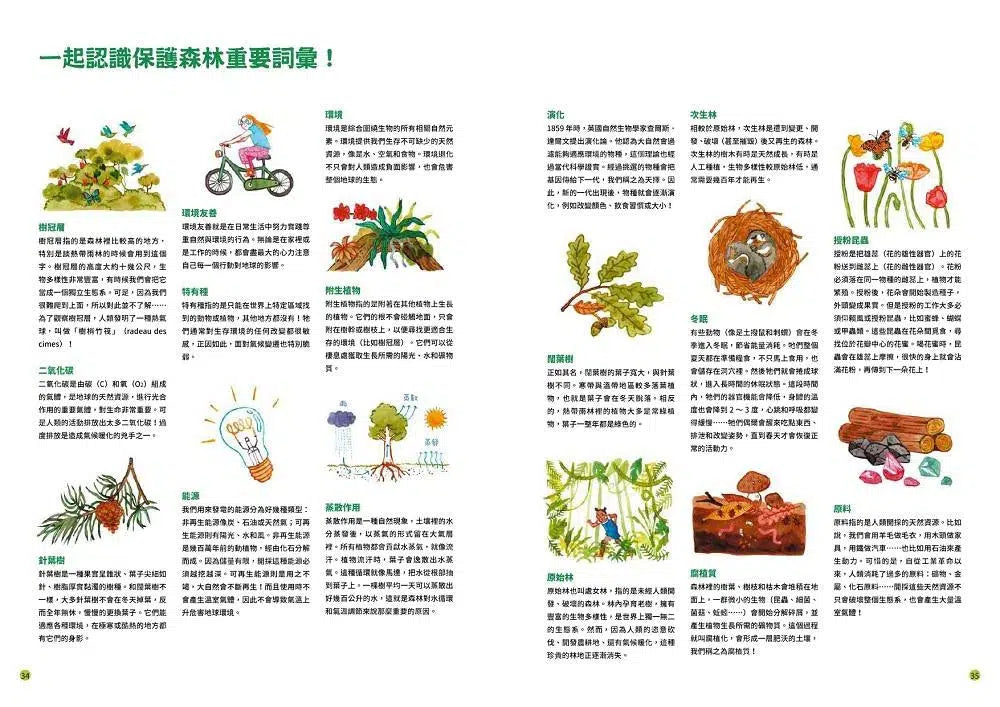 最美的森林 需要我們一起來保護(愛曼汀‧湯瑪士(Amandine Thomas))-非故事: 動物植物 Animal & Plant-買書書 BuyBookBook