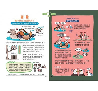 表裡不一的動物超棒的!圖鑑-非故事: 動物植物 Animal & Plant-買書書 BuyBookBook