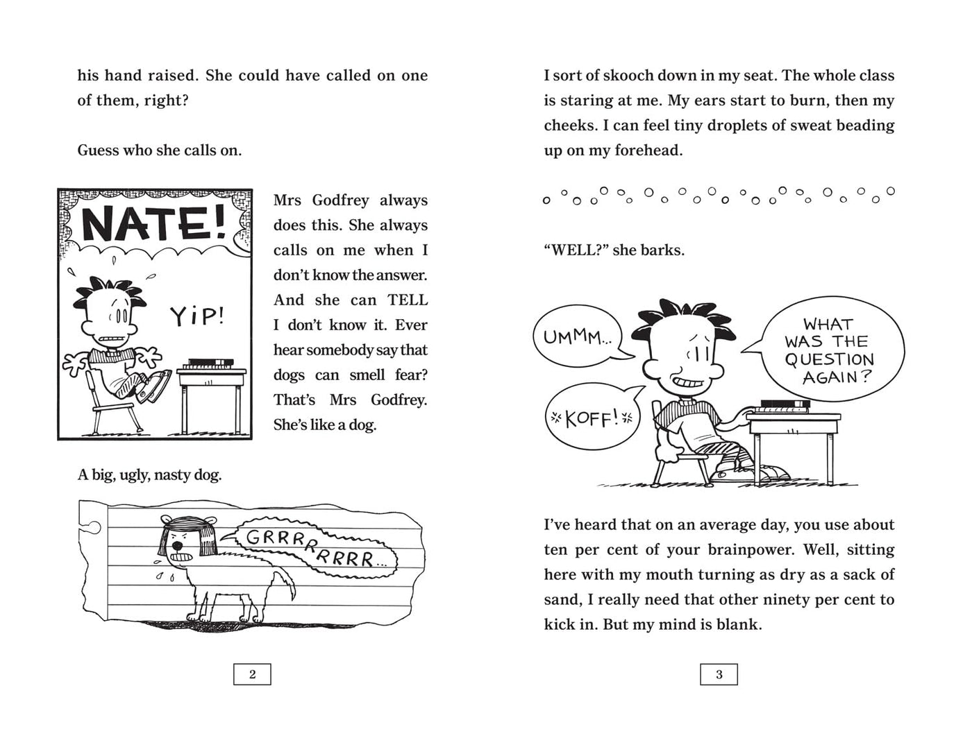 Big Nate #01 The Boy with the Biggest Head in the World (UK) (Lincoln Peirce)