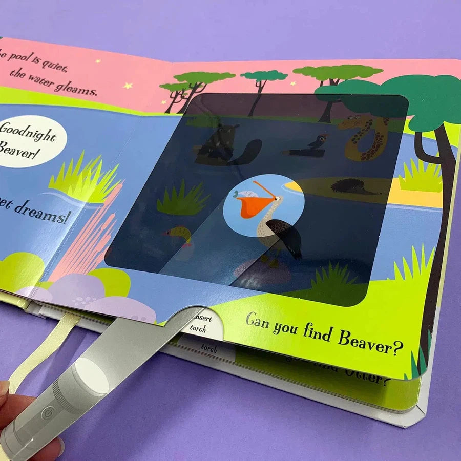 Magic Torch Books #06 Goodnight Frog (Amber Lily)