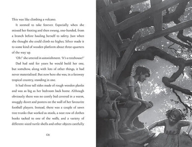 Turtle Moon (Hannah Gold)-Children’s / Teenage fiction: Action and adventure stories-買書書 BuyBookBook