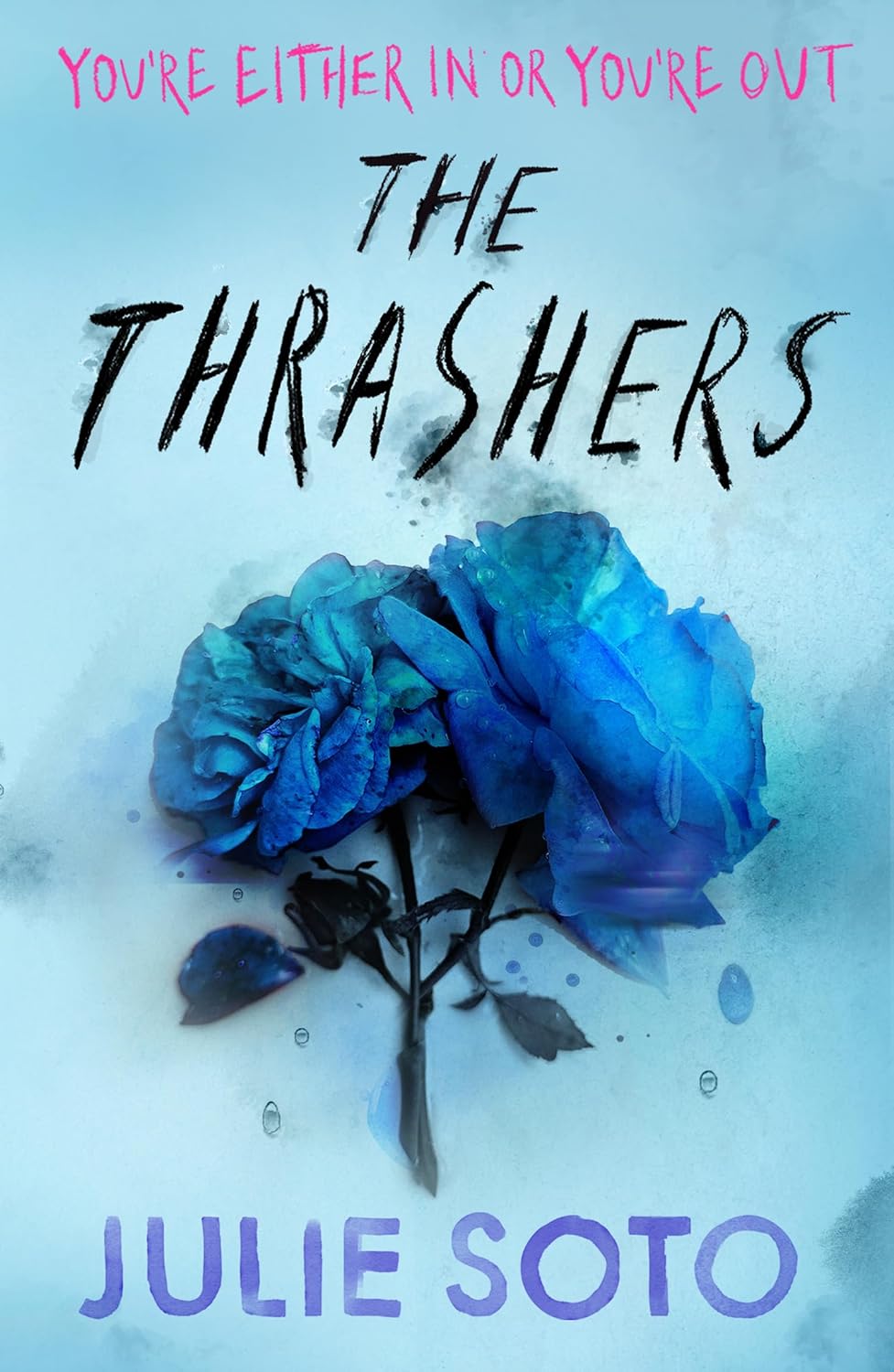 The Thrashers (Julie Soto)-Children’s / Teenage fiction: Crime and mystery fiction-買書書 BuyBookBook