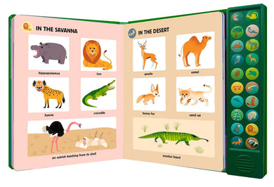 My Big Book of Nature Sounds-Children’s Early years / early learning concepts-買書書 BuyBookBook